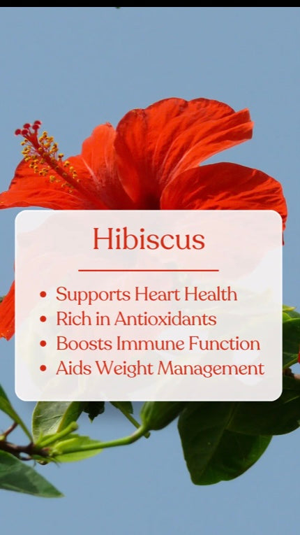 Simply Hibiscus