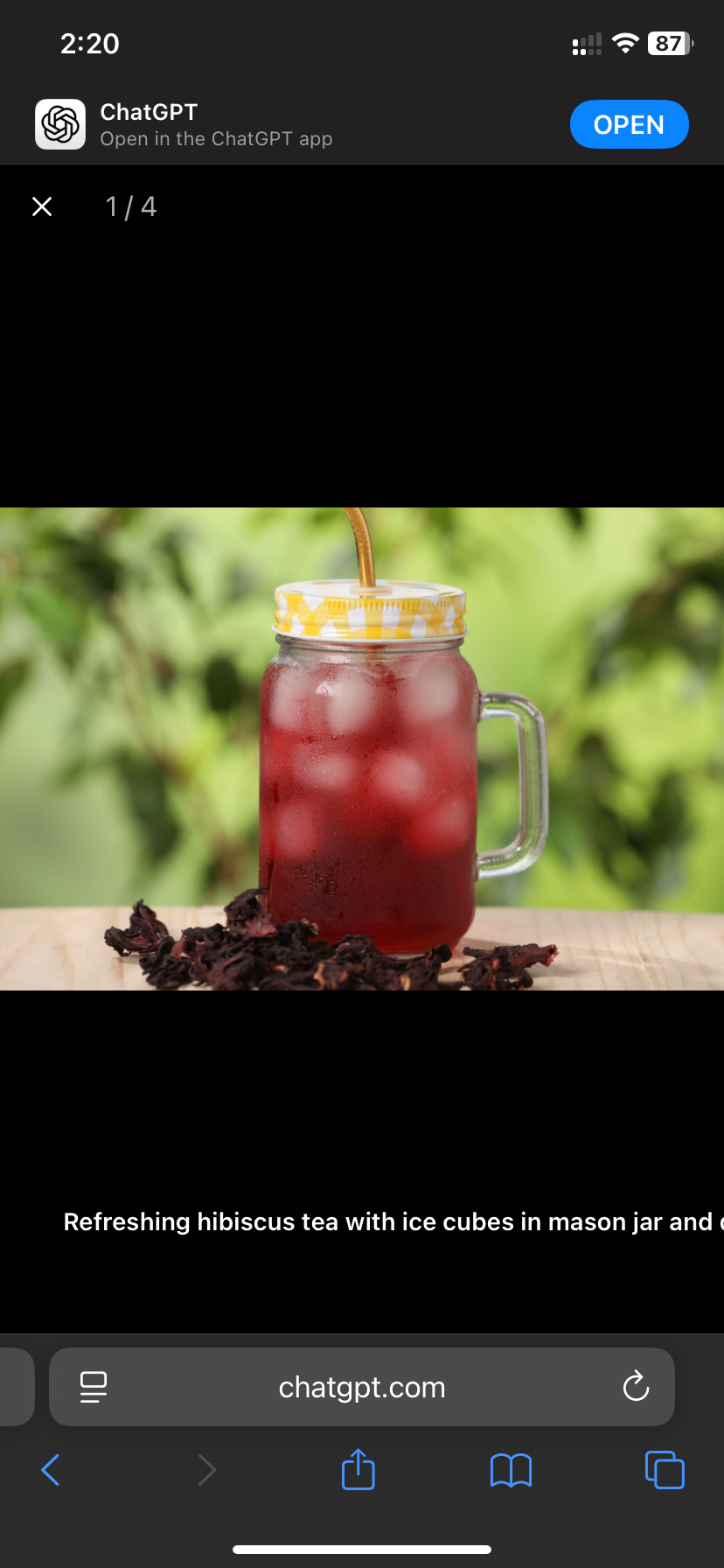 Simply Hibiscus